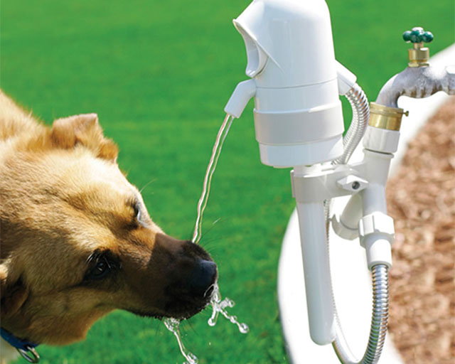 Automatic Dog Drinking Fountain 1