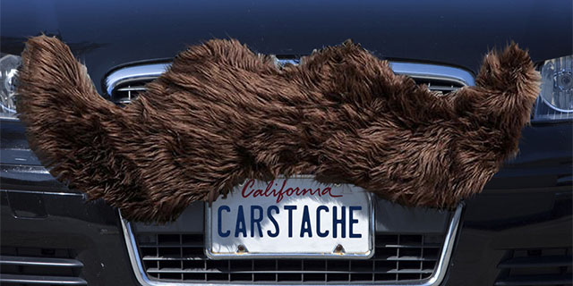 Car Mustache 1