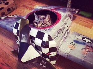 Cardboard Plane Cat Playhouse | Million Dollar Gift Ideas
