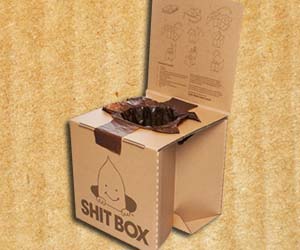 Cardboard Shit Box