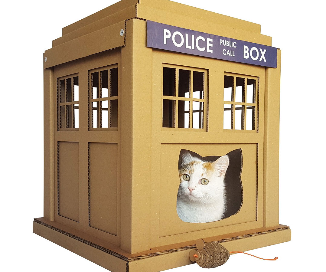 Cardboard Tardis Cat House 1