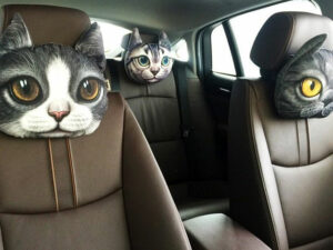 Cat Car Headrest Pillow | Million Dollar Gift Ideas