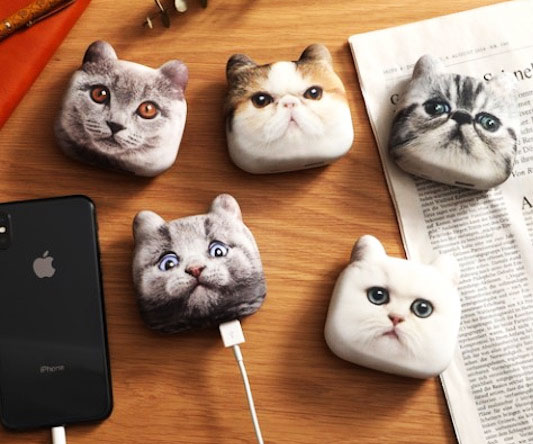 Cat Head Phone Charger