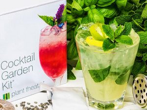 Cocktail Garden Kit | Million Dollar Gift Ideas