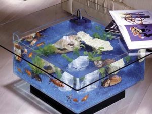 Coffee Table Aquarium 1