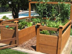 DIY Vegetable Garden Kit | Million Dollar Gift Ideas