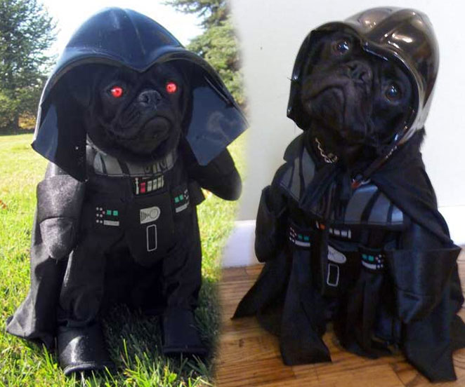Darth Vader Dog Costume 1