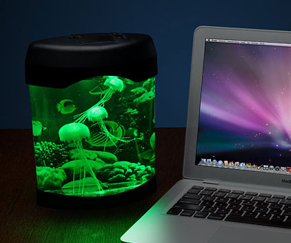 Desktop Jellyfish Aquarium