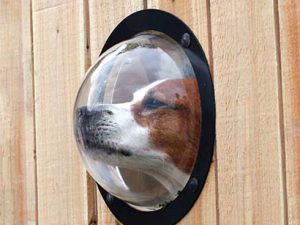 Dog Peek Window | Million Dollar Gift Ideas