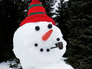Dress A Snowman Kit | Million Dollar Gift Ideas