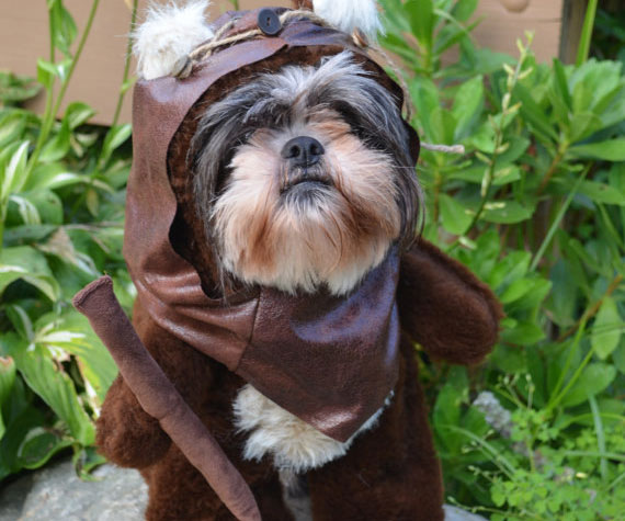 Ewok Dog Costume