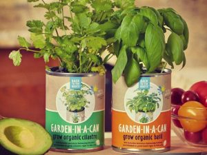 Garden In A Can | Million Dollar Gift Ideas