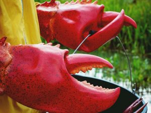 Giant Lobster Claws | Million Dollar Gift Ideas