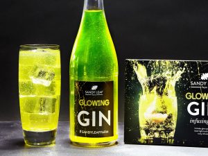 Glowing Gin Infusing Kit | Million Dollar Gift Ideas