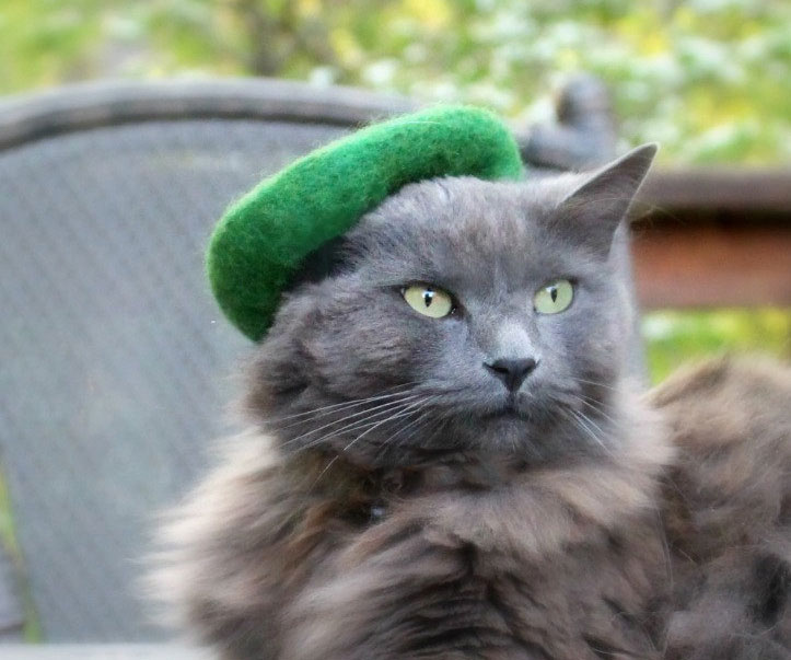 Hats For Cats 1