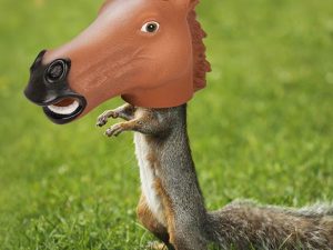 Horse Head Squirrel Feeder | Million Dollar Gift Ideas