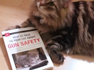 How To Talk To Your Cat About Gun Safety | Million Dollar Gift Ideas