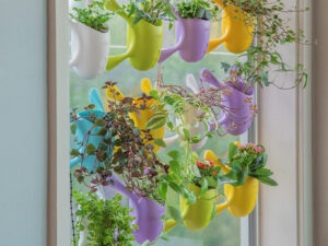 Indoor Suctioned Window/Wall Planter | Million Dollar Gift Ideas