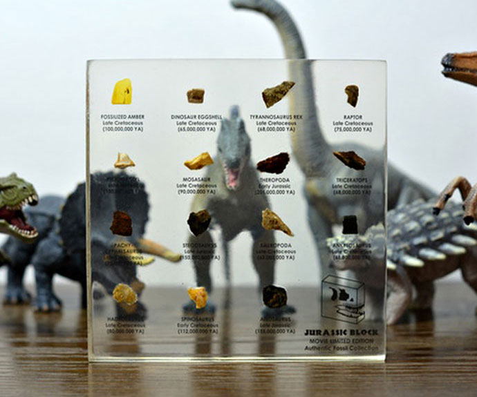 Jurassic Block Dinosaur Fossil Collection