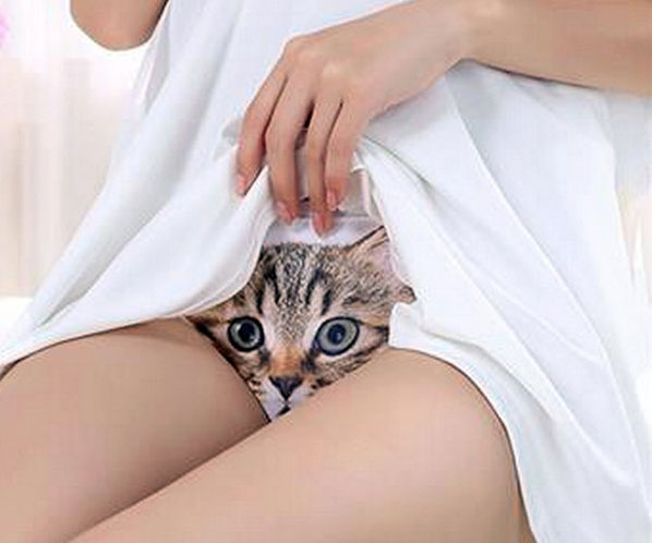 Kitty Panties 1