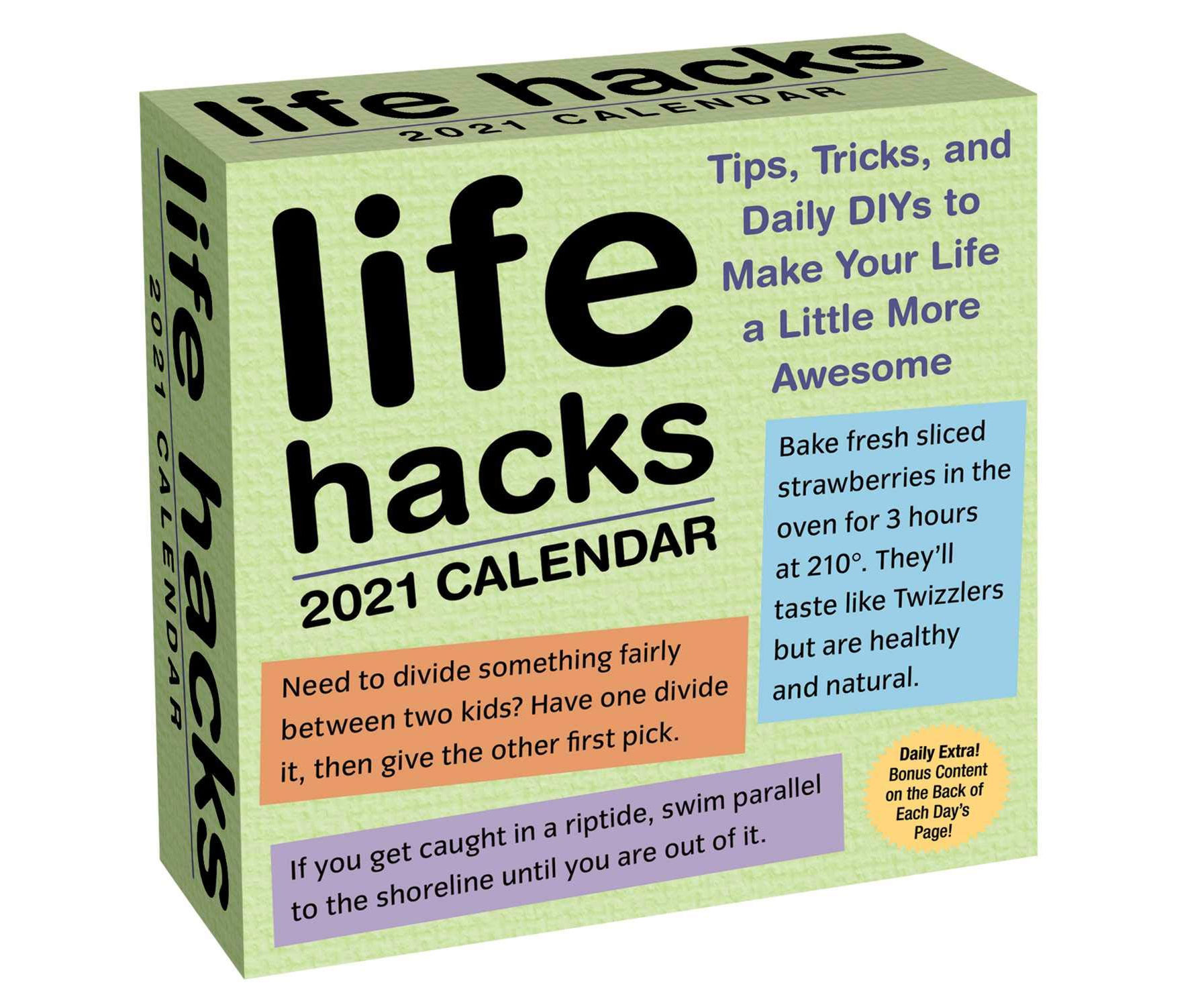Life Hacks 2021 Day-to-Day Calendar
