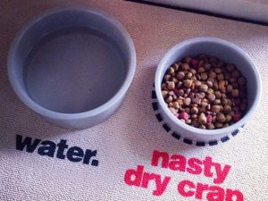 Nasty Dog Food Place Mat | Million Dollar Gift Ideas