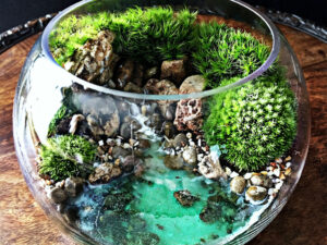 Ocean Scene Bowl Terrarium | Million Dollar Gift Ideas