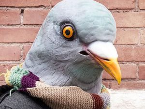 Pigeon Mask | Million Dollar Gift Ideas