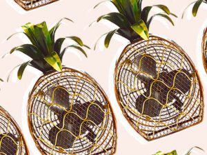 Pineapple Fan | Million Dollar Gift Ideas