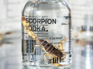 Scorpion Infused Vodka | Million Dollar Gift Ideas