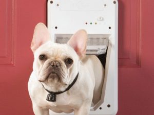 SmartKey Enabled Dog Door | Million Dollar Gift Ideas