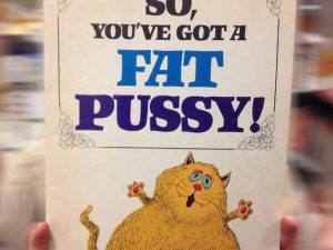So You’ve Got A Fat Pussy Book | Million Dollar Gift Ideas