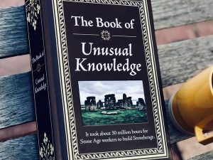 The Book Of Unusual Knowledge | Million Dollar Gift Ideas