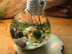 Underwater Terrarium Light Bulb | Million Dollar Gift Ideas