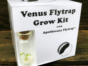 Venus Flytrap Grow Kit | Million Dollar Gift Ideas