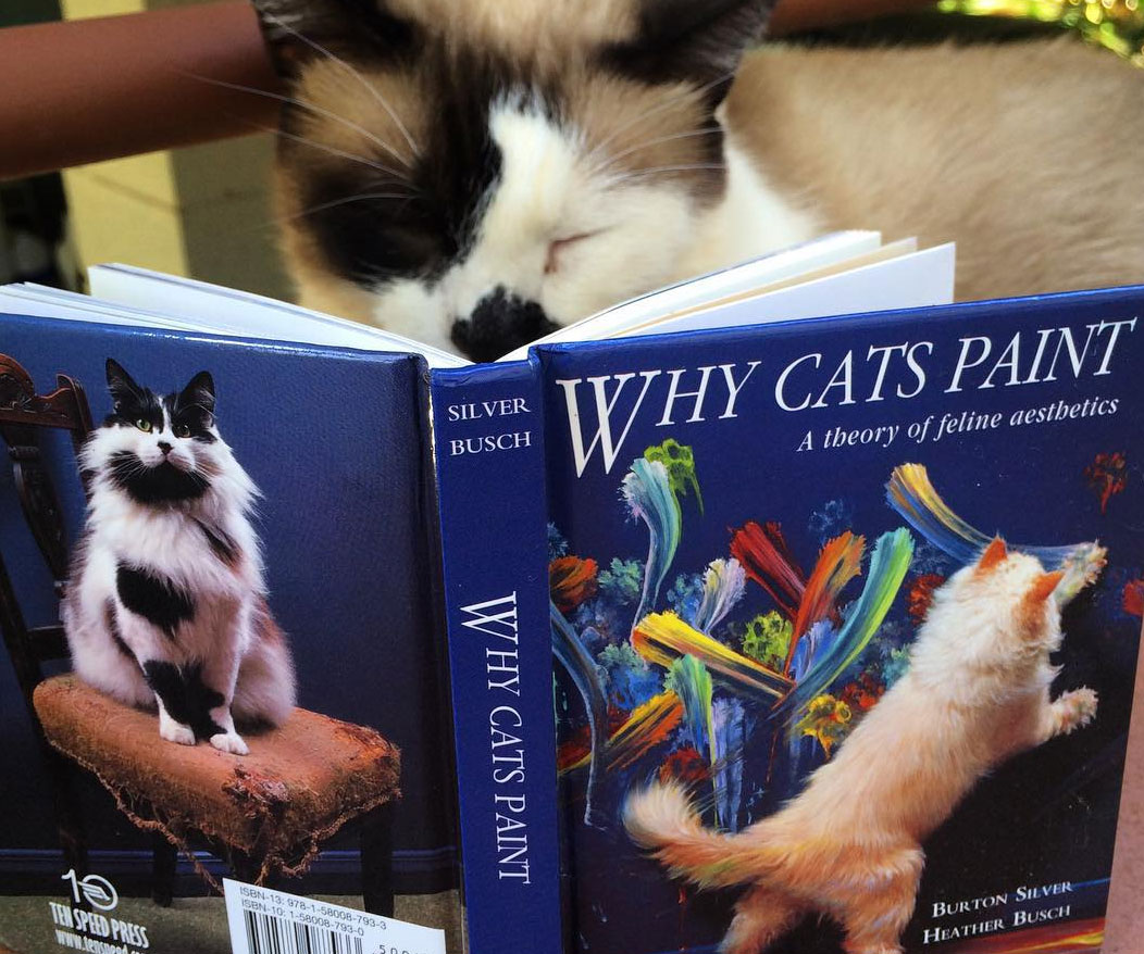 Why Cats Paint 2