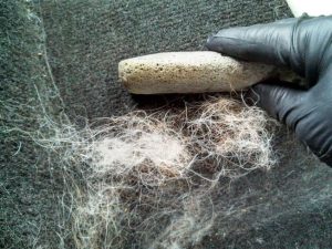 World’s Ugliest Pet Hair Remover | Million Dollar Gift Ideas